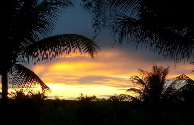 Fazenda Eco Jardim - Foto 43
