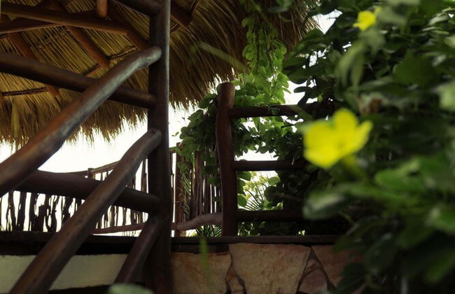 Villas Oasis Bungalow Bottom - Foto 14