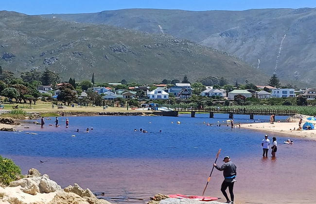 Kleinmond Panorama Holidays - Foto 28