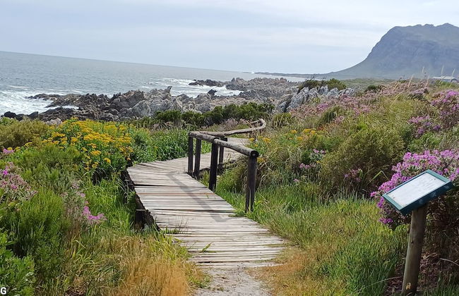 Kleinmond Panorama Holidays - Foto 22