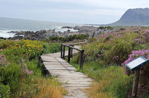 Photo 19 - Kleinmond Panorama Holidays