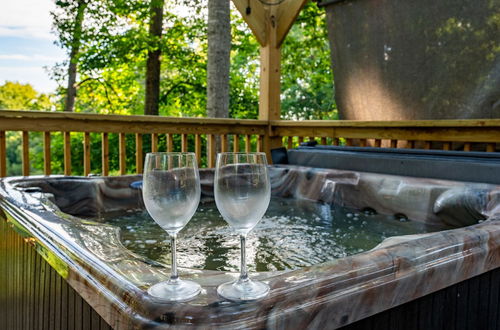 Photo 35 - 'emerald Cove Chalet' on Douglas Lake w/ Hot Tub