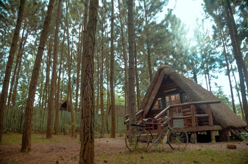 Photo 43 - Nyungu Yamawe Forest Park