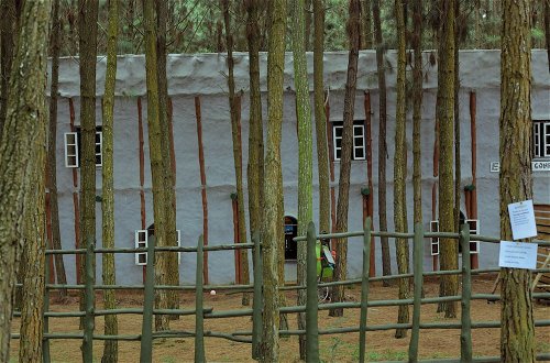 Foto 28 - Nyungu Yamawe Forest Park
