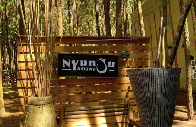 Nyungu Yamawe Forest Park - Foto 41