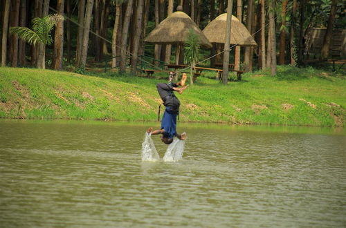 Photo 18 - Nyungu Yamawe Forest Park