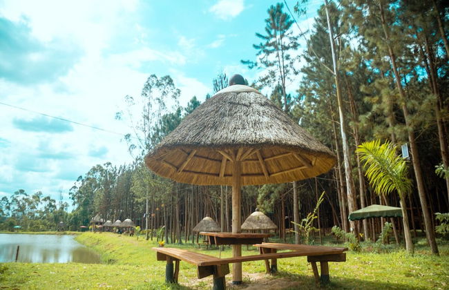 Nyungu Yamawe Forest Park - Foto 35