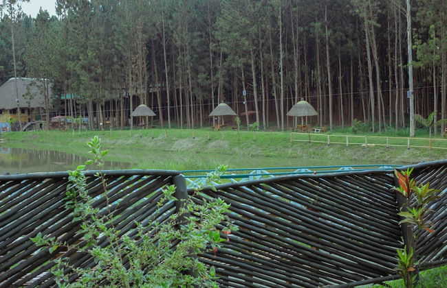Nyungu Yamawe Forest Park - Foto 33
