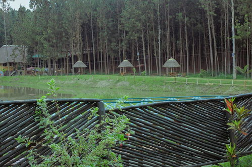 Photo 33 - Nyungu Yamawe Forest Park