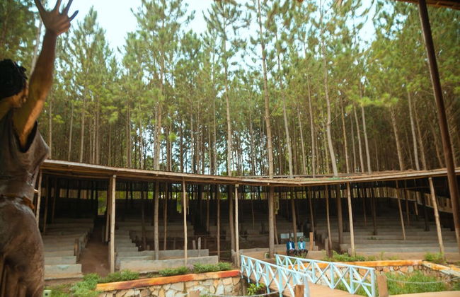 Nyungu Yamawe Forest Park - Foto 19
