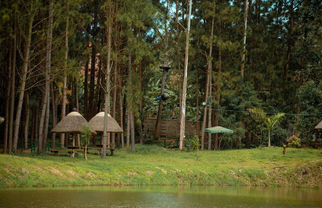 Nyungu Yamawe Forest Park - Foto 32