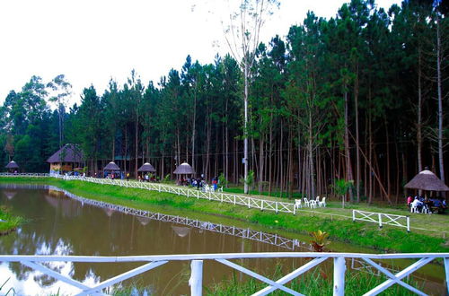 Photo 44 - Nyungu Yamawe Forest Park