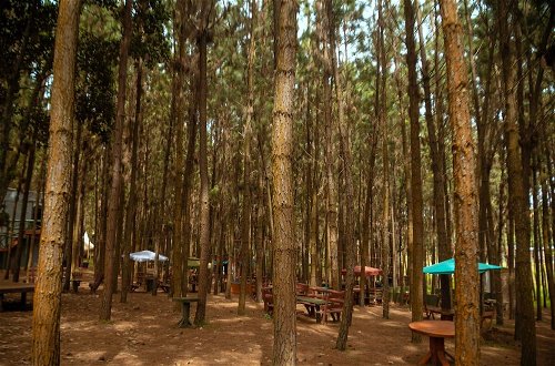 Photo 36 - Nyungu Yamawe Forest Park