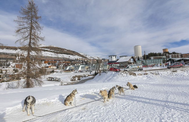 Grange Hike & Ski - 44D Sestriere - Foto 8