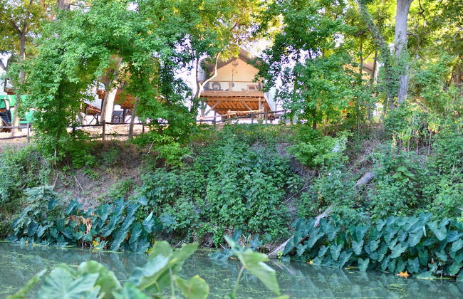 1 Son's Rio Cibolo - Birdhouse Cabin - Foto 68