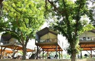 Photo 1 - 19 Son's Rio Cibolo - Birdhouse Cabin