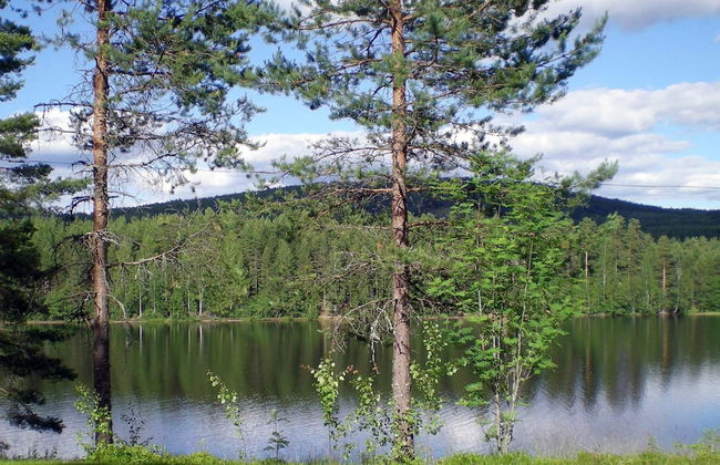 4 Person Holiday Home in Torsby-by Traum - Foto 34