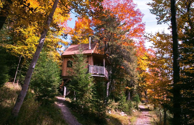 Les Chalets du Trappeur - Foto 1