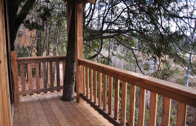 Les Chalets du Trappeur - Foto 11