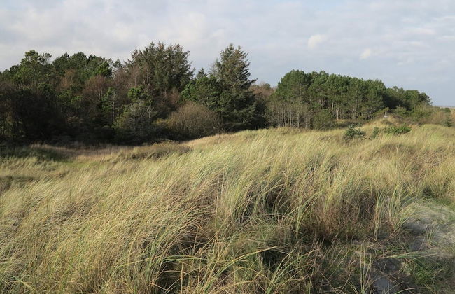 5 Person Holiday Home in Strandby-by Traum - Foto 3