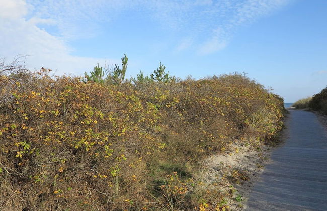 5 Person Holiday Home in Strandby-by Traum - Foto 7