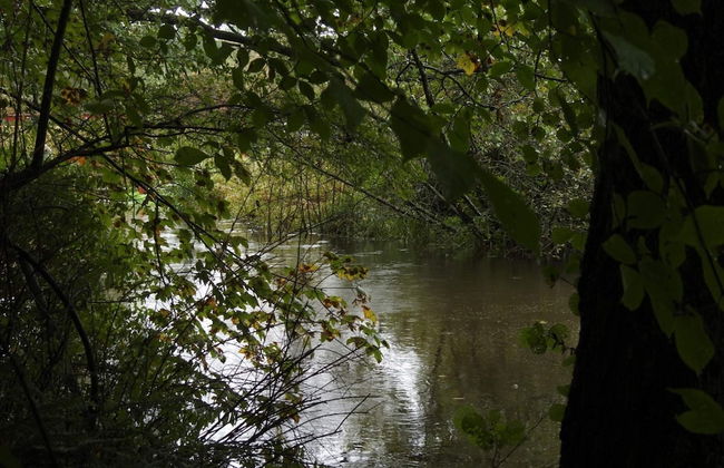 5 Person Holiday Home in Strandby-by Traum - Foto 4