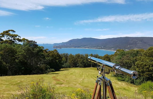 Eaglehawk Rainforest Retreat - Foto 18