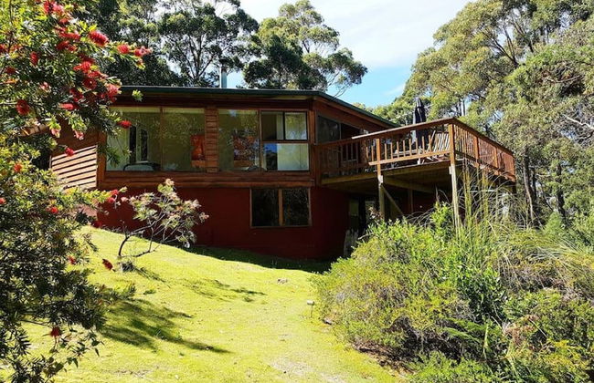 Eaglehawk Rainforest Retreat - Foto 16