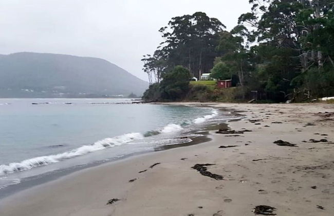 Eaglehawk Rainforest Retreat - Foto 14