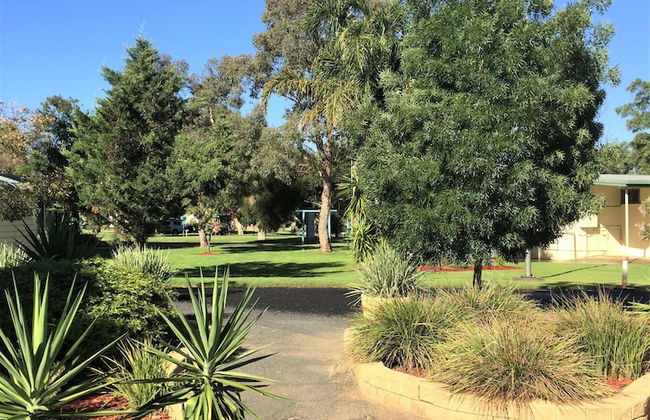 Junee Tourist Park - Foto 62