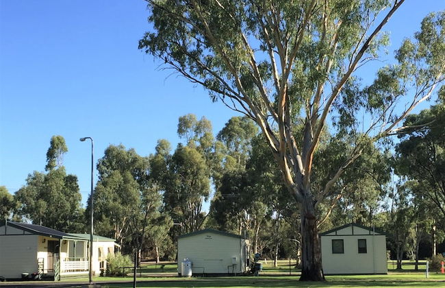 Junee Tourist Park - Foto 60