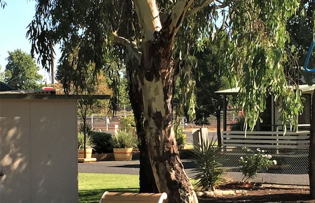 Junee Tourist Park - Foto 61