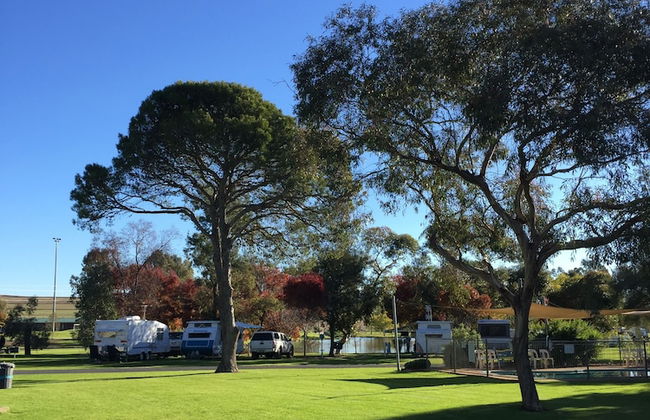 Junee Tourist Park - Foto 67