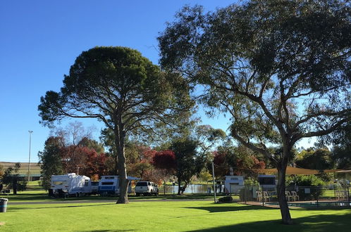 Photo 67 - Junee Tourist Park