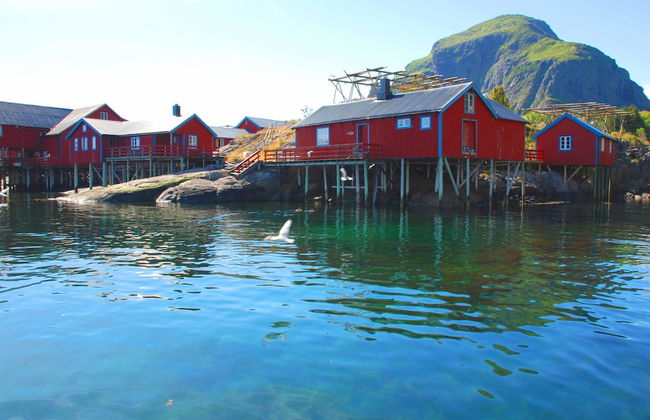 Å Rorbuer - by Classic Norway Hotels - Photo 14