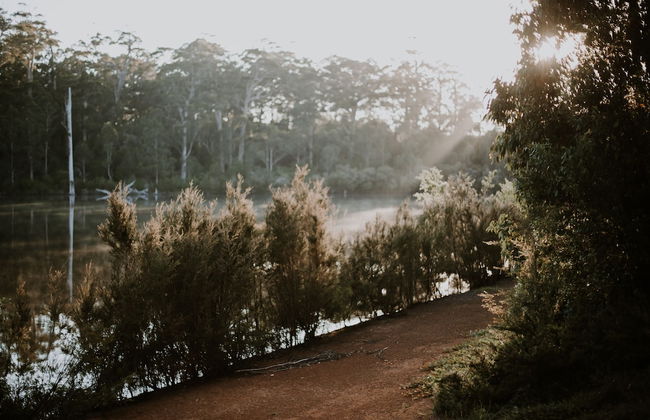 Silkwood Estate - Foto 17