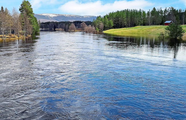 8 Person Holiday Home in Ljørdalen - Photo 17