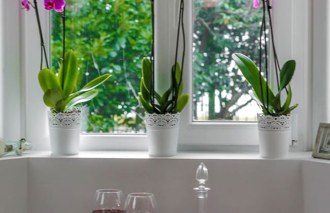 Lubimetz 13 - holiday villa - Foto 8