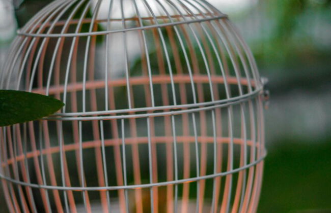 Lubimetz 13 - holiday villa - Foto 13