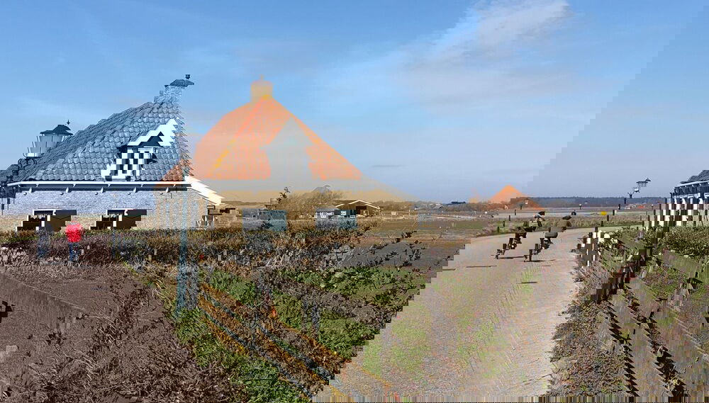 Imagem principal