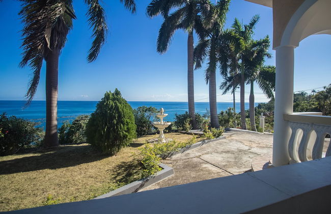 Tall Palms - Foto 1