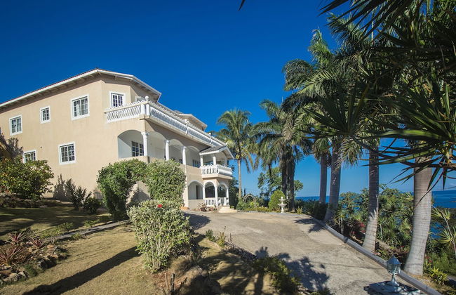 Tall Palms - Foto 19