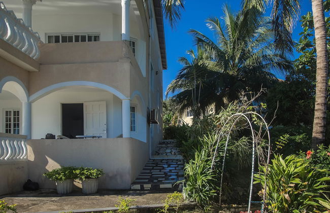 Tall Palms - Foto 18
