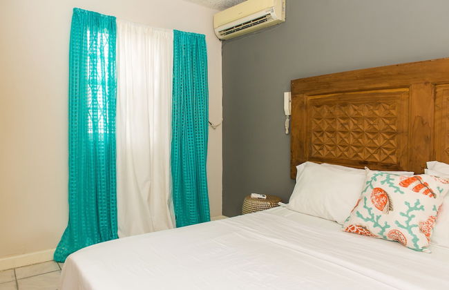 Kingston Most Centrally Located Two Bdrm - Photo 14