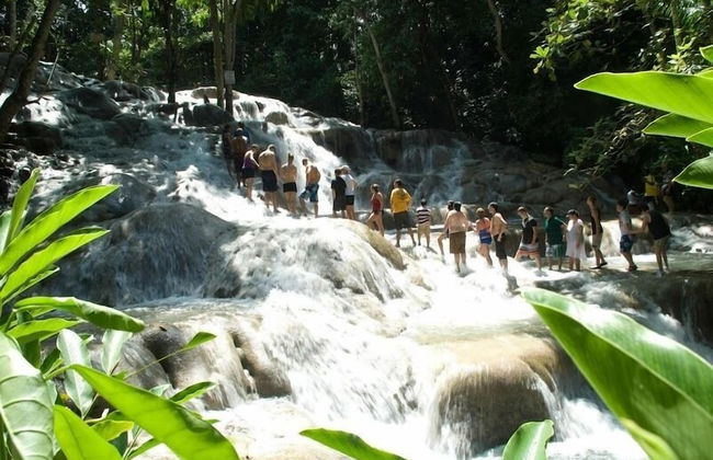 Ocho Rios Villa at The Palms - Foto 60