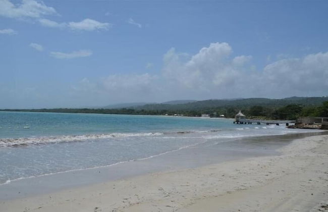 Ocho Rios Villa at The Palms - Foto 56