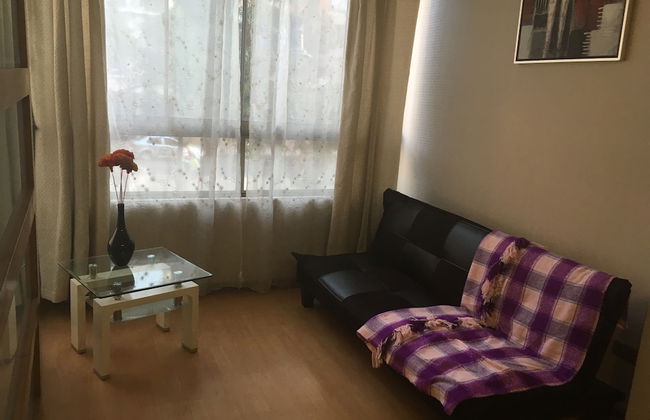 Santa Rosa Apartment, Santiago Downtown - Foto 7