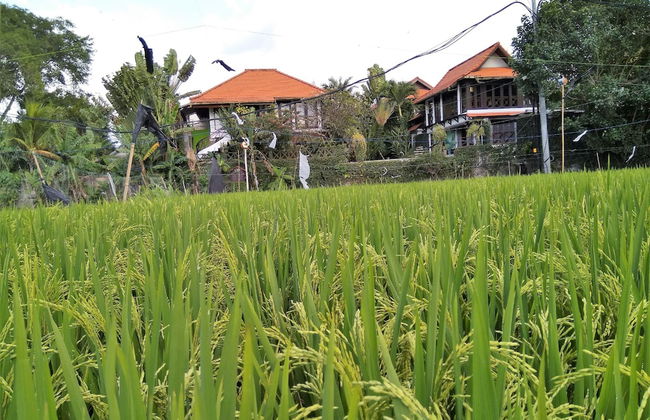 Umah Watu Villas - Foto 37