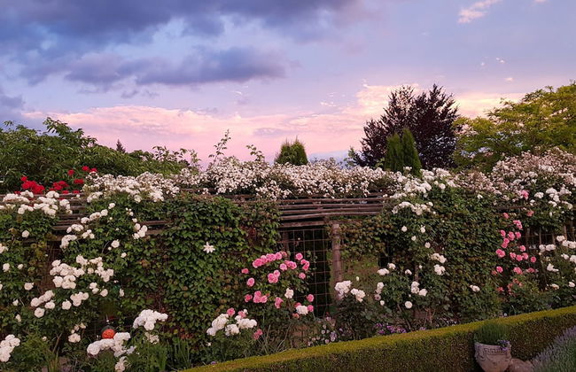 Marchmont Gardens - Foto 49