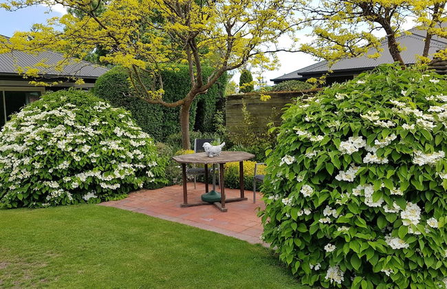 Marchmont Gardens - Foto 48